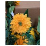 NEW MAINSTAYS TEDDY BEAR SUNFLOWER ( 20+ CT )