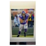 Chad Greenway Autographed Minnesota Vikings Picture