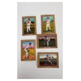 2007 Topps Turkey Red Minnesota Twins Team Set