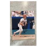 Tolm Herr Autographed 8x10 Baseball Picture