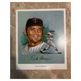 1970 Super Valu Minnesota Twins Art Print Rich Becker