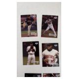 Fox Sports North Minnesota Twins Team Set