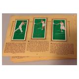 1963 Tennis: An Album of Famous Players In Action Complete With 50 Cards - Vintage