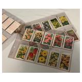 1938 Gallaher Garden Flowers 48 Card Vintage Cigarette Card Set