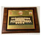 Minnesota Twins 1987 World Series Champions Baseball Plaque