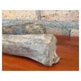 Two Weathered Animal Long Bones - Approximately 9-11 in Each