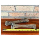 Two Weathered Animal Long Bones - Approximately 9-11 in Each