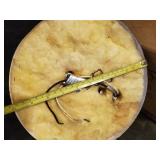 2 lightly used Ceiling Lamps