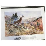 1984 Remington Wildlife Art Collection Prints and Calendar Pieces with Prints on the Backside