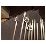 9 Gold Tip Arrows #5575