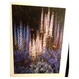 International Museum of Photography Edward Stenchen print