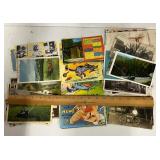 Vintage Postcards Humor Advertising Animals ETC