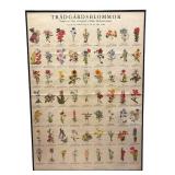 FR - Vintage Trädgårdsblommor Framed Botanical Chart