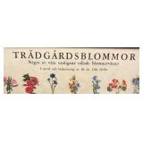 FR - Vintage Trädgårdsblommor Framed Botanical Chart