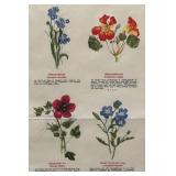 FR - Vintage Trädgårdsblommor Framed Botanical Chart