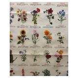 FR - Vintage Trädgårdsblommor Framed Botanical Chart