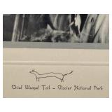 DR - Chief Weasel Tail Photo Print - Glacier National Park, Antique Framed Portrait