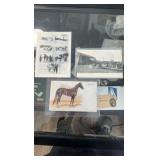lot of horse related post cards