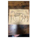 antique horse related advertisement