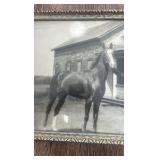 1932 horse picture