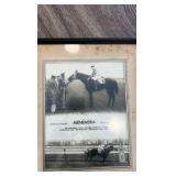 1955 menemsha horse racing photo