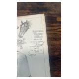 1914 Lake Erie trotting circuit official racing guide