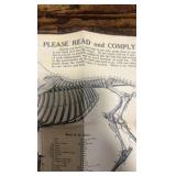 antique horse related advertisement