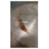 1957 large silver plated oldham county fair platter