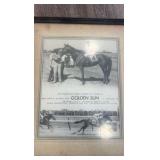 1957 golden son horse racing photo