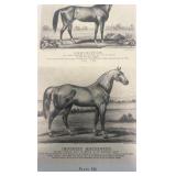 vintage horse racing collectible lot