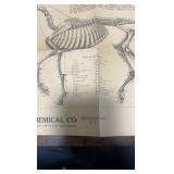 antique horse related advertisement