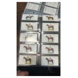 player cigarettes horse racing sports cards full set of 50