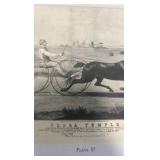 vintage horse racing collectible lot