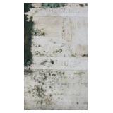 1865 gladiateur derby winner tile