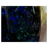 DR - Handblown Art Glass Paperweight - Signed & Dated Lampwork Orchid