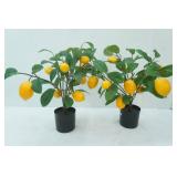 Artificial Lemon Trees 2ct (21" tall)