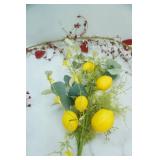 Pine Cone Swag, Lemon Tree Branch, Willow Heart Swag