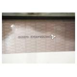 Salomon Snowscape Skis