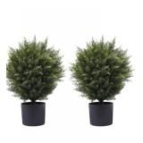 Artificial Cedar Plants 2 Pack 21" $89.99 Retail - Brand New