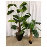 Faux Rubber Tree Plant Pair