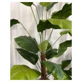 Faux Rubber Tree Plant Pair