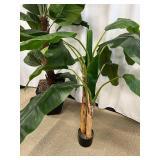 Faux Rubber Tree Plant Pair