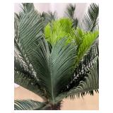 Faux Sago Palm Artificial Plant in Pot - 48 Inches Tall