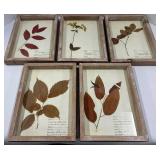 Pressed Leaf Frame Set (5) & 2 Chrome Glass Candle Display Cases / Lanterns & Welcome Sign