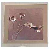 Sepia Floral Series Print by Jan Gordon