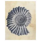 Framed Ammonite Fossil Art Print & Wood Frame