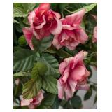 Faux Rose Topiary in Chinese Planter - 54" Tall Plant, 9.5" H Planter, 12" Dia