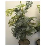 Artificial Palm Plants - Pair - 67 in Tall