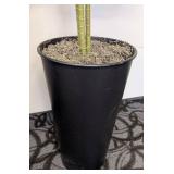 Artificial Palm Plants - Pair - 67 in Tall