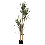Faux Palm Plant 67 Inches Tall - 3 Stems in Black Pot
